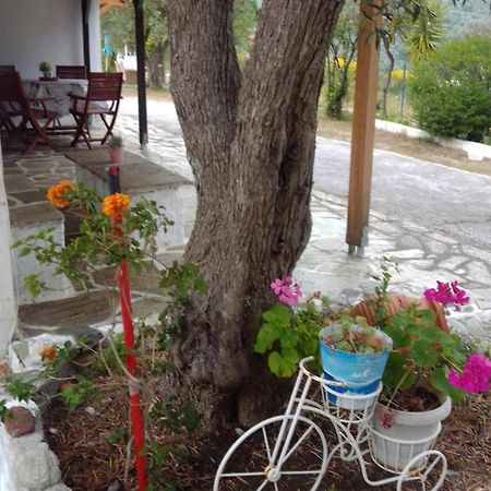 Anemos Studios Vasilias (Skiathos) Exterior foto
