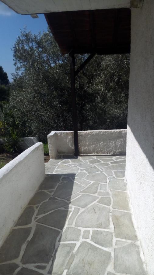 Anemos Studios Vasilias (Skiathos) Exterior foto