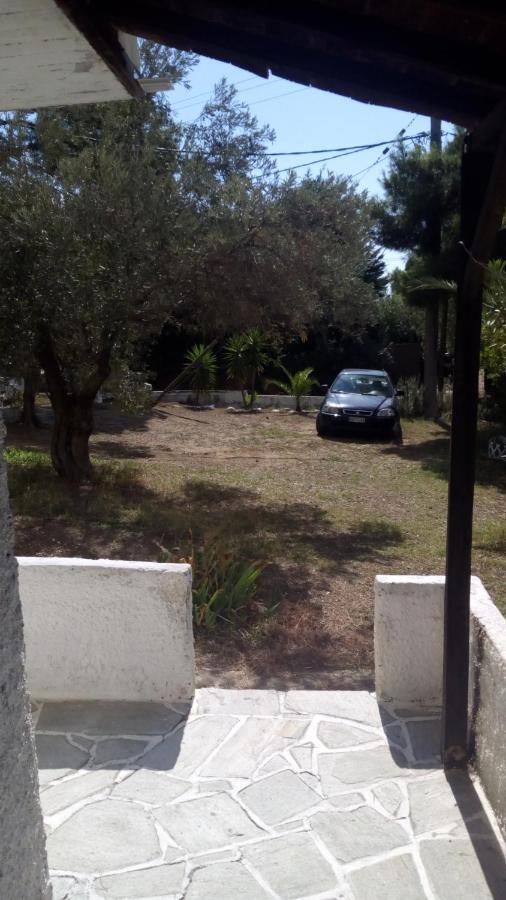 Anemos Studios Vasilias (Skiathos) Exterior foto